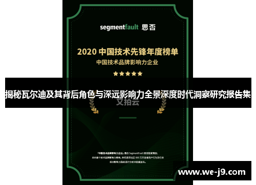 揭秘瓦尔迪及其背后角色与深远影响力全景深度时代洞察研究报告集
