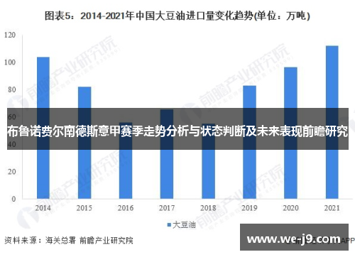 布鲁诺费尔南德斯意甲赛季走势分析与状态判断及未来表现前瞻研究